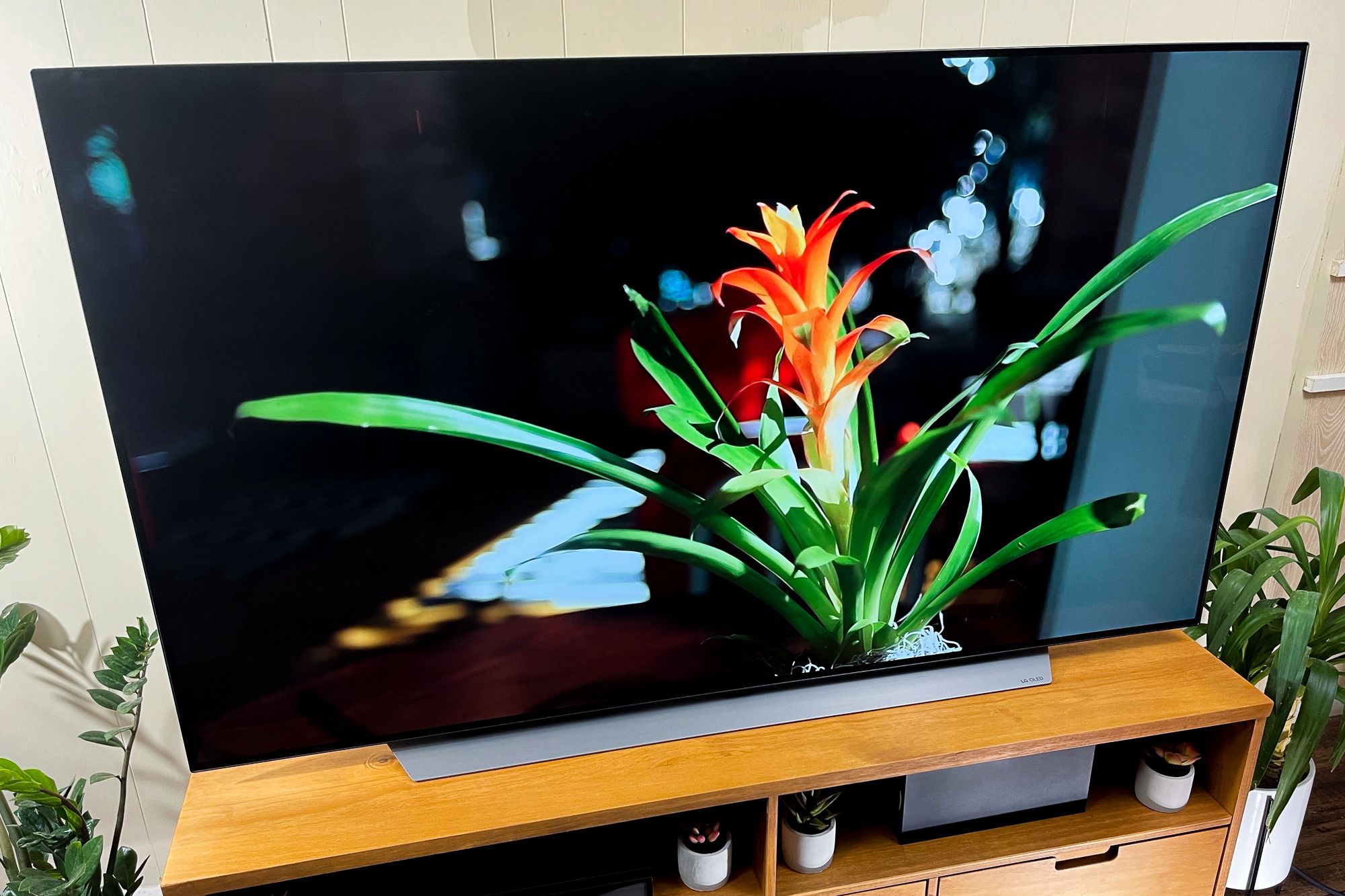 LG C1 OLED TV
