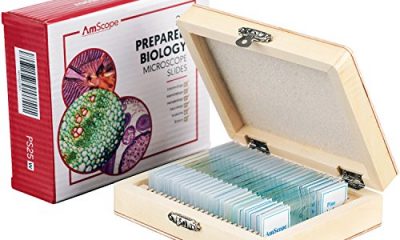 AmScope PS25 Prepared Microscope Slide Set for Basic Biological Science Education, 25 Slides, Includes Fitted Wooden Case Brown