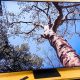 Samsung QN90A series (2021) QLED TV review: Closer than ever to OLED