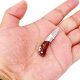 Tiny Folder Miniature Gadgets Collection Knife, Eastern Delights Pocket Smallest Multi Tool (Sandalwood)