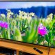 Sony X90J series review: Polished experience, excellent picture