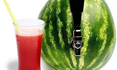 Fruit Keg Tapping & Spout Kit: Stainless Steel Drink Dispenser Set for Pumpkins & Other Fruits - Fun Home Bar Gadgets & Cocktail Party Supplies